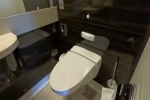 Haven Deluxe Owners Suite Stateroom Picture