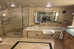 Owners Suite Stateroom Picture