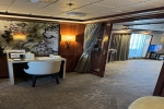 Owners Suite Stateroom Picture