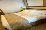 Mini-Suite Stateroom Picture