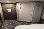 Interior Stateroom Picture