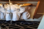 Suite Stateroom Picture