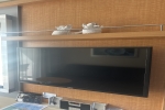 Boardwalk and Park Balcony Stateroom Picture