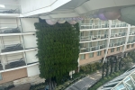 Boardwalk and Park Balcony Stateroom Picture