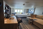 Seaview (Oceanview) Stateroom Picture