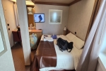 Oceanview Stateroom Picture