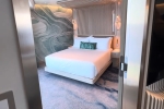 Solarium Stateroom Picture