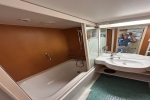 Club Suite Stateroom Picture