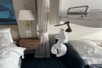 Deluxe Family Oceanview Stateroom Picture