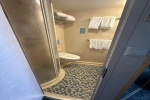 Spacious Oceanview Stateroom Picture