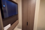 Interior Stateroom Picture