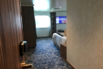 Oceanview Stateroom Picture