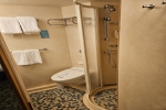 Interior Stateroom Picture