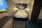 Interior Stateroom Picture