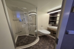 Interior Stateroom Picture