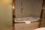 Deluxe Owner Suite Stateroom Picture