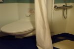 Full Window Stateroom Picture