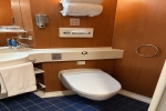 Interior Stateroom Picture