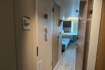 Cove Stateroom Picture