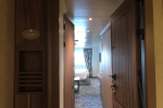 Deluxe Oceanview Stateroom Picture