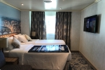 Deluxe Oceanview Stateroom Picture