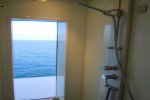 The Haven Courtyard Penthouse Stateroom Picture