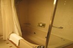 Neptune Suite Stateroom Picture