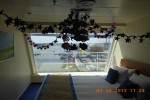 Scenic Oceanview Stateroom Picture