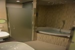 Deluxe Owner Suite Stateroom Picture