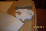 Junior Suite Stateroom Picture