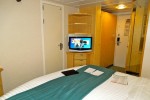 Promenade View Interior Stateroom Picture