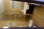 Owners Suite Stateroom Picture