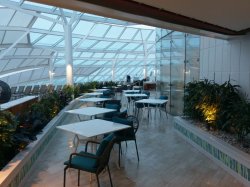 Symphony of the Seas Solarium Bistro picture