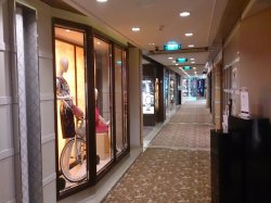 Celebrity Solstice Galleria Boutiques picture