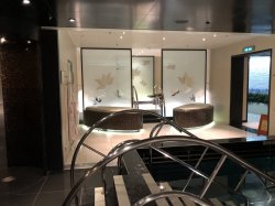 Regal Princess Lotus Spa picture