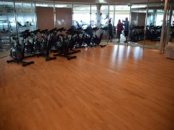 Spa and Fitness Center picture