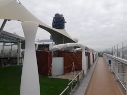 Celebrity Silhouette The Lawn Club picture