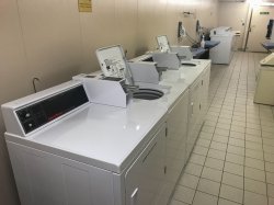 Regal Princess Laundromat picture