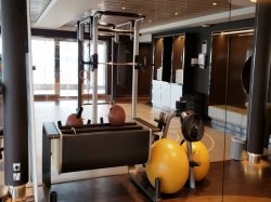 MSC Meraviglia MSC Gym by Technogym picture