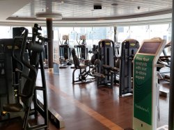 MSC Meraviglia MSC Gym by Technogym picture