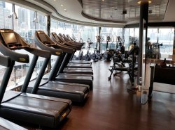 MSC Meraviglia MSC Gym by Technogym picture