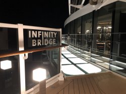 MSC Seaview Infinity Bridge picture