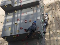 Climbing Wall picture