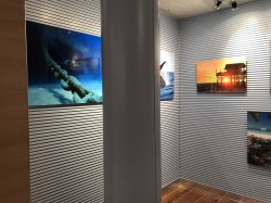 Carnival Panorama Art Gallery picture