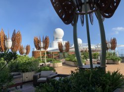 Rooftop Garden picture