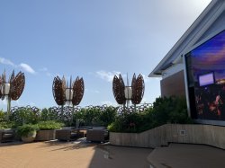 Rooftop Garden picture