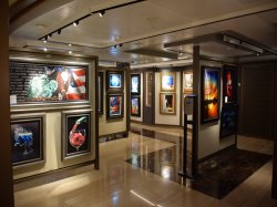 Majestic Princess Fine Art Gallery picture