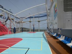 Carnival Mardi Gras Basketball Court picture