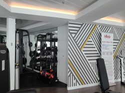 Celebrity Apex Fitness Center picture