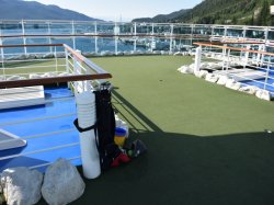 Majestic Princess The Greens picture